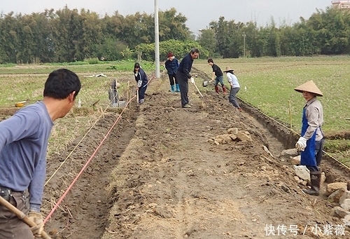 农村修路怪象，水泥“管够”，不用柏油，咋回事？专家：本该如此