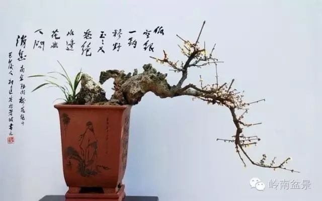 盆景构景十种风格