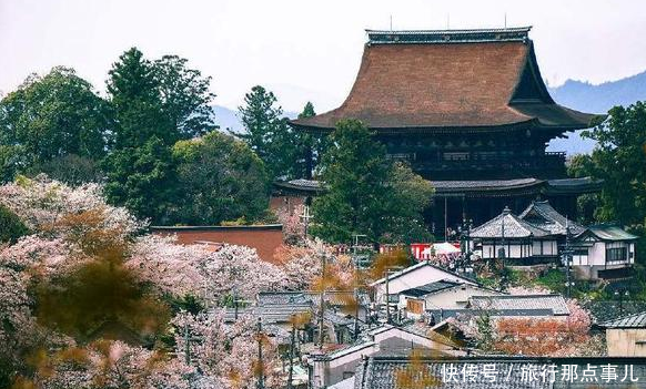 中国游客去日本，主动给公交车老人让座！还被公交车老人“指点”