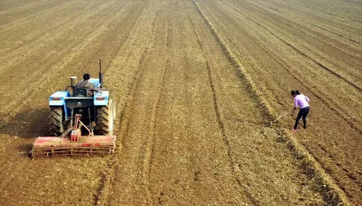 10大对农村未来的预言！