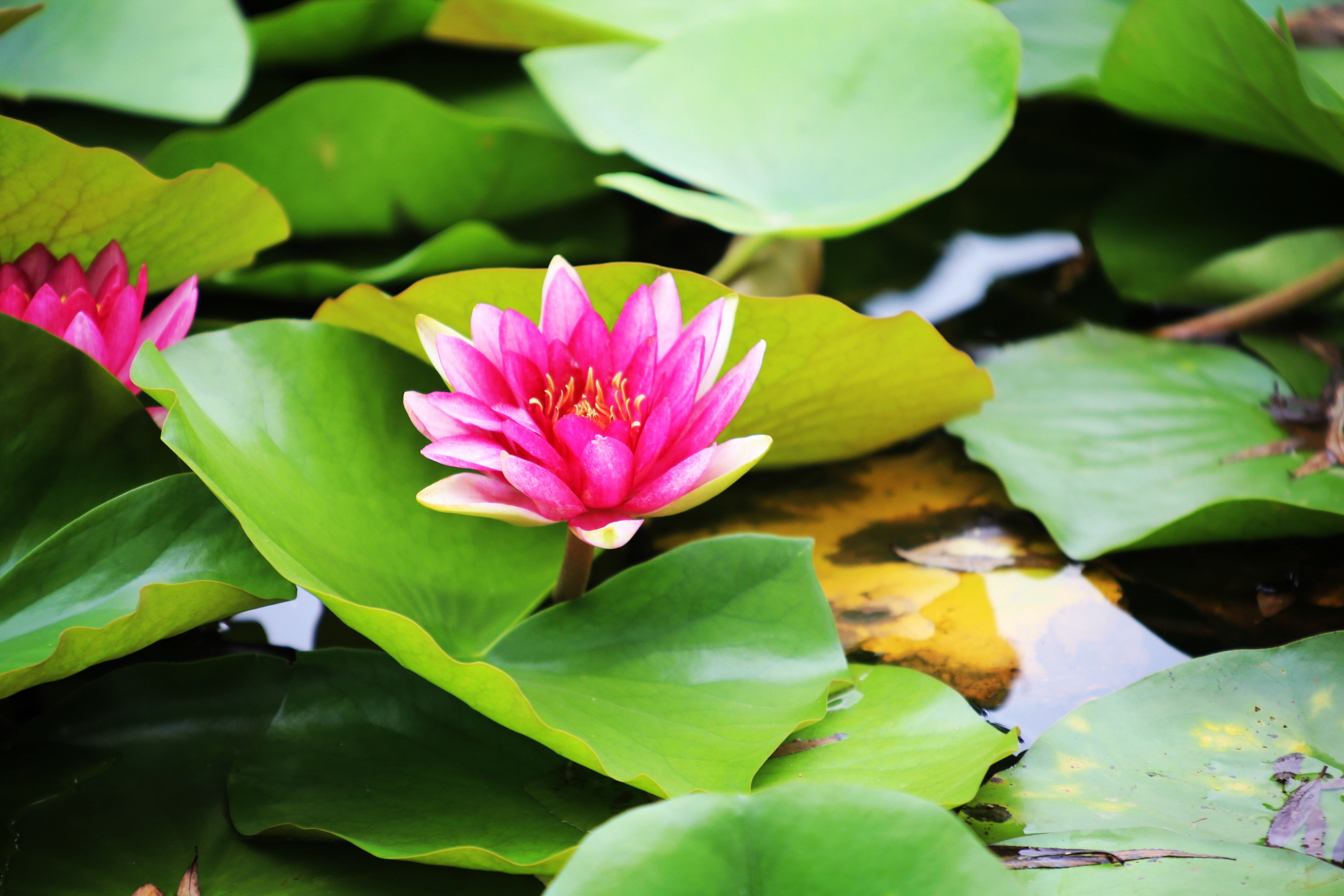 北京市区里:竟然有一座11层楼高佛像