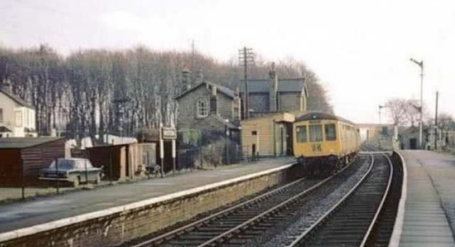 世界上最奇葩的火车站，每月只有1名乘客，火车招手即停