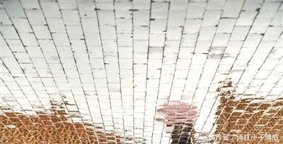 苏唐诗:我心中的故宫,其实很平常