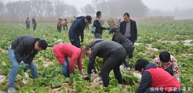  「吃香」现在的农村，这3行很吃香，不仅能挣钱而且也很体面，村