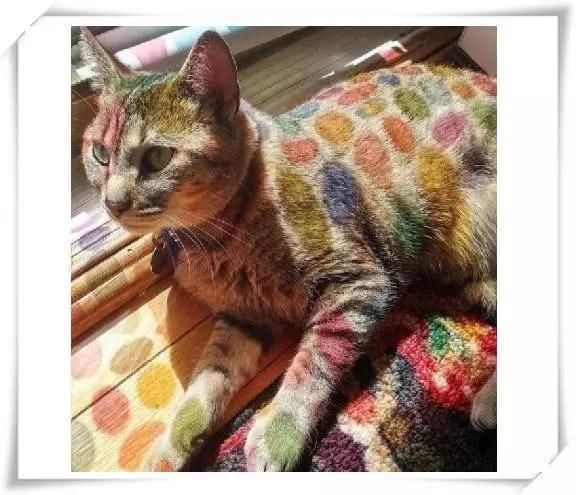 震撼:大自然才是最厉害的PS大师,沙漠与水的碰撞,飞机下巨大漩涡