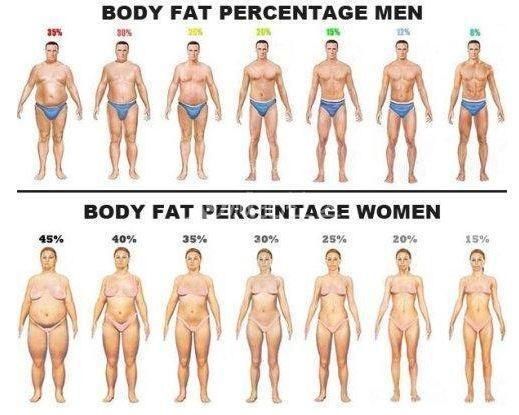 胡一天从百斤大胖子逆袭成新晋男神，根据体脂率来减肥效果翻倍