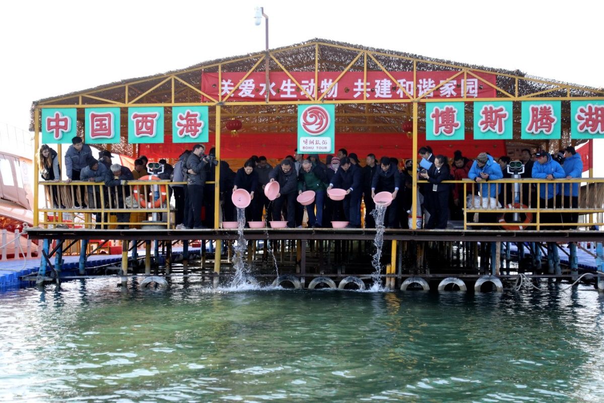  「新疆」新疆博湖：2万尾扁吻鱼苗放流博斯腾湖