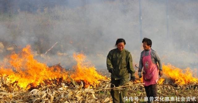 秸秆还田后庄稼为啥长不好了老农一提就怒还不都是专家搞的！