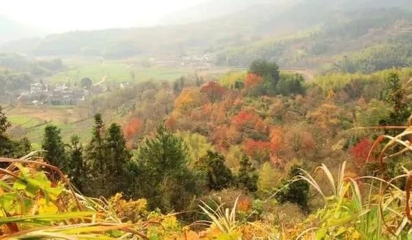 9月开始，这12个地方不可错过!