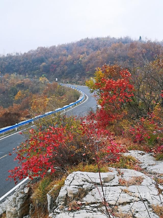 郑州巩义有条最美自驾公路，山路弯弯风光美，红叶奇石禅意浓