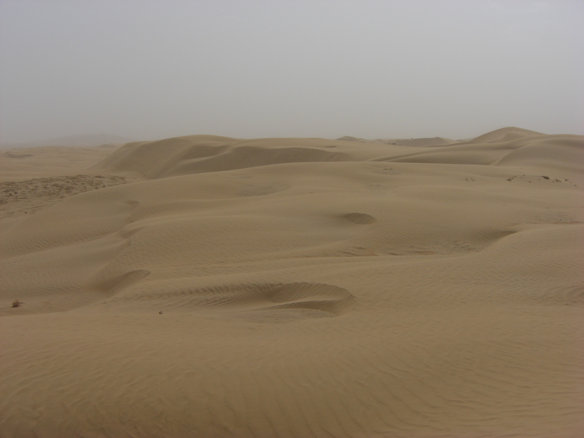 中国式奇迹：村民在电站养鸡羊，比上海大3倍的沙漠1/3变成绿洲