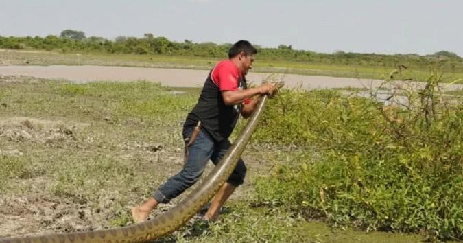 生,当口袋里的生物爬出时,网友:难怪外国人口少