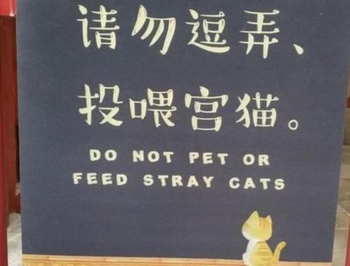 故宫中有上百只猫，个个都有工作，而且它们的待遇都很高！