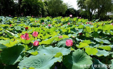  #中国#中国首个富裕型长寿之乡