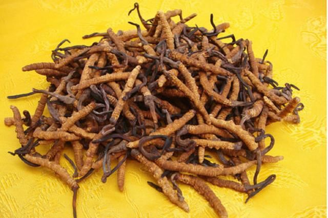 曾经卖出天价的神草，最后几元1斤，无人问津，居然和农民有关