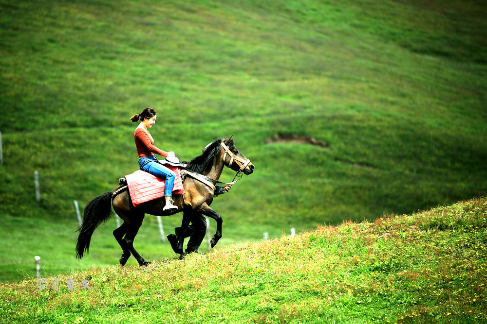 云南这里被评为全国最美地标之一，集雪域高原和大草原的美于一身