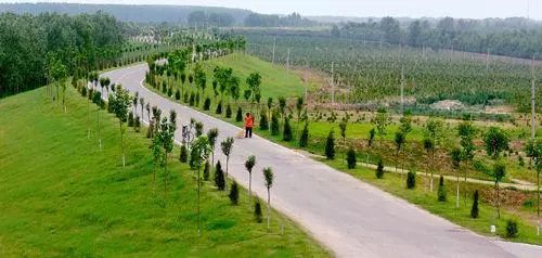 为什么近些年很少听说黄河发洪水了？