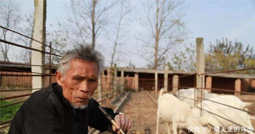 农村“禁养”搞一刀切，一头都不让养吗抱怨前先看清官方咋说的