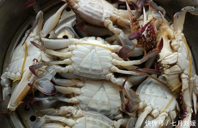 九月来鲅鱼圈旅游，吃地道的本海海鲜，吃地道的熊岳巨峰葡萄