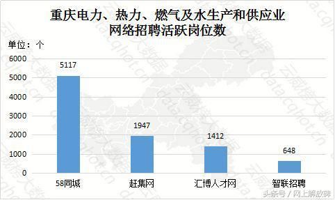 重庆互联网+电力热力燃气及水生产和供应业大数据报告