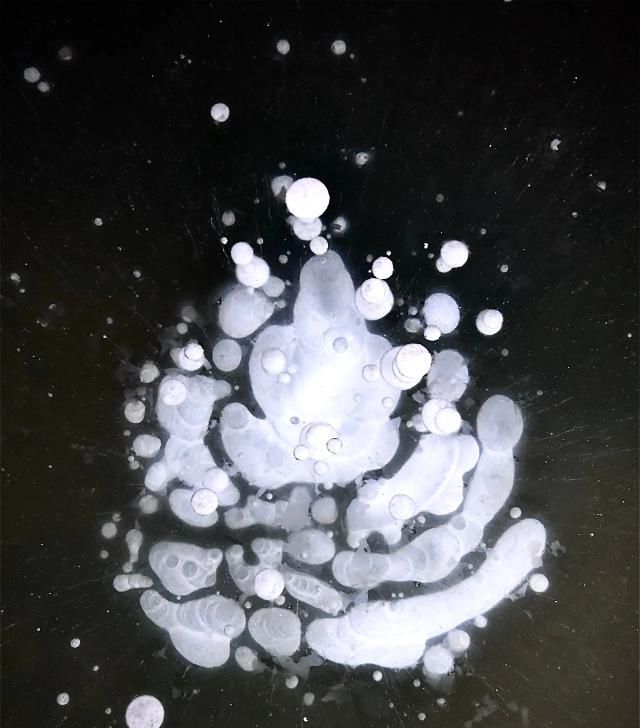 大兴安岭漠河观音山惊现“冰泡”奇观