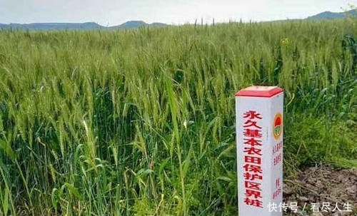  用总体规划@在永久基本农田上，种树、挖塘、养鱼、修路，会导致