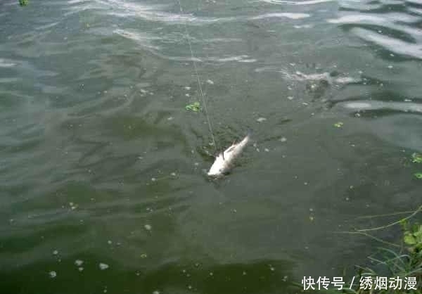  『生活费』鱼跑了,杆也断了,钓鱼人半个月的生活费没了