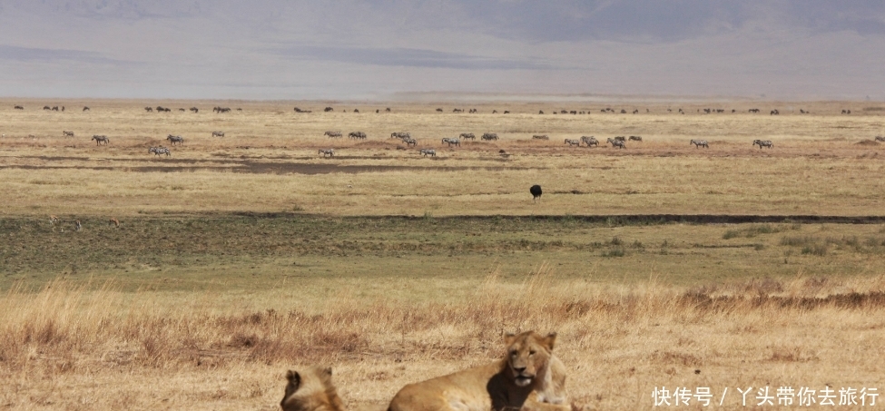 非洲遍地都是“玉石”，导游却告诫：别犯傻，可千万别拿！
