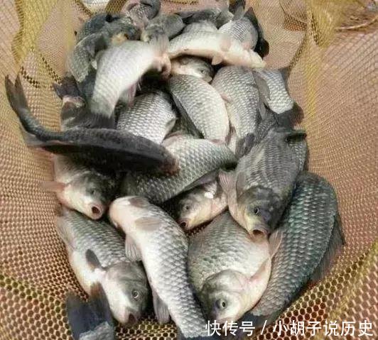 『深刻』秋凉夜钓,这八点值得深刻学习一下!很多钓鱼人还不知道