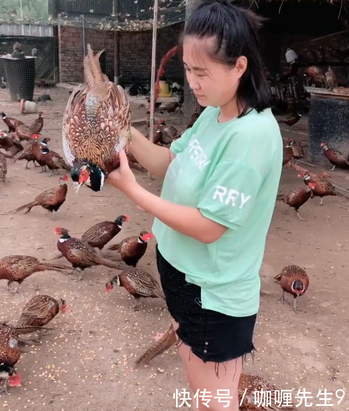 农民养殖野生的“它”，营养价值高，论只卖百元，年赚几十万！