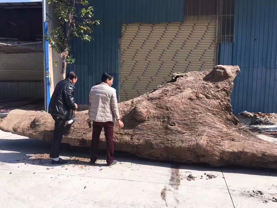  河道■农民河道挖出的乌木曾价值千万, 到底是什么木 为何现在无