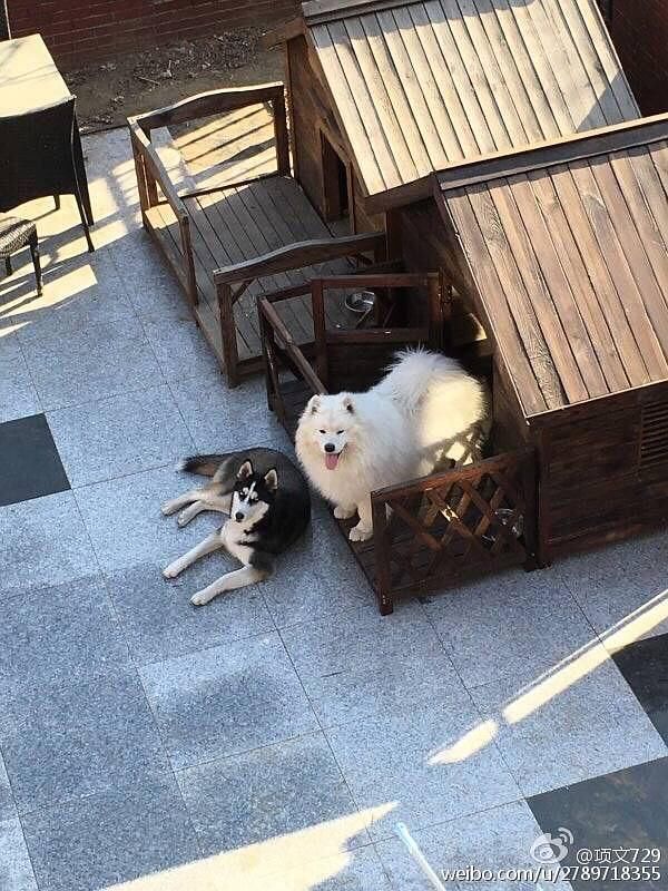 林更新澄清谣言，他算不算娱乐圈遭遇最搞笑离奇的明星了