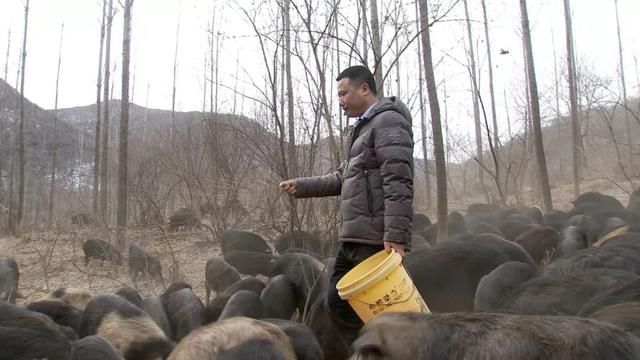 贷款500万，2年后，他在这片荒山上一年卖出1000万销售额