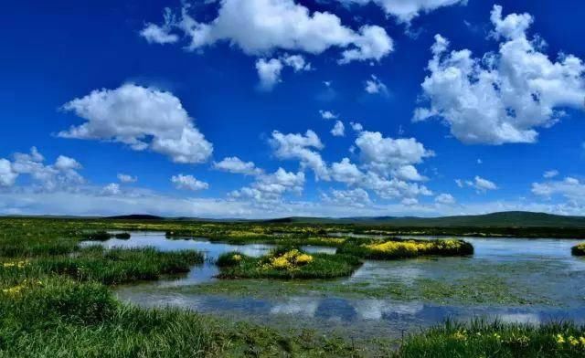 『青海』青海39个之最,不但在全国出名了,还有这么多世界级....