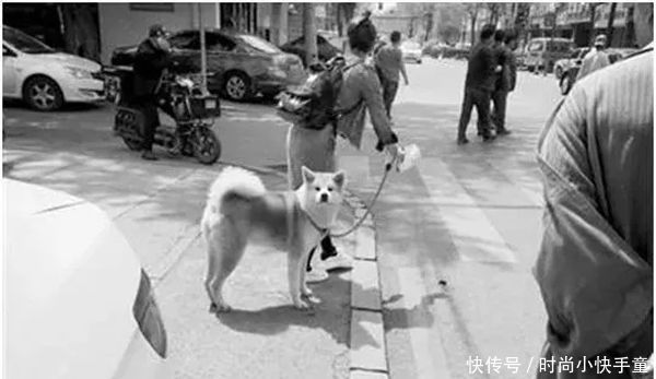 330W网红殴打孕妇致早产，刷爆朋友圈，你缺的不是流量而是骨子里