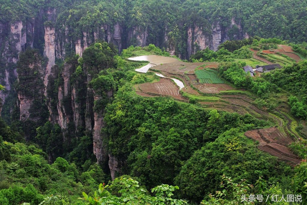 世界上最险的一块“空中稻田”:位于万丈高峰顶上，就在中国