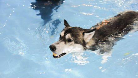 我国四大火炉之首真让人恐惧，这座城市的炎热西安和武汉都比不了