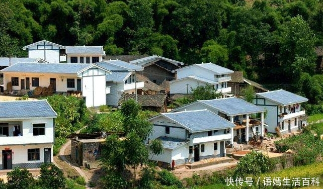  名单@农村宅基地乱象丛生，这3类或被列入“退出”名单，希望没