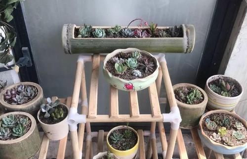  记得：多肉繁殖“叶插”，买肉肉，叶子难免磕磕碰碰，掉的叶子记得扦插