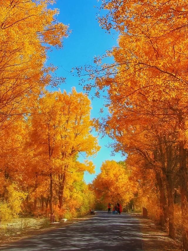 推荐｜额济纳，她的美只有20多天，错过再等一年