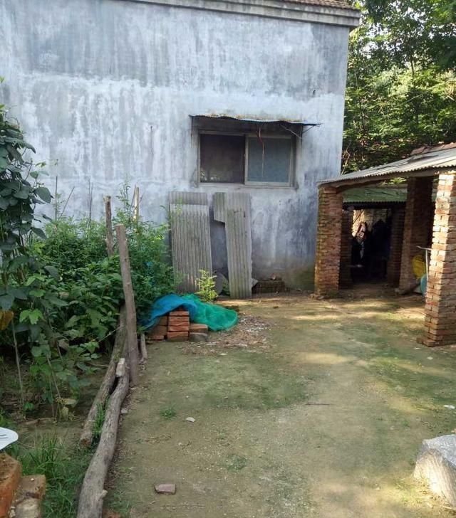  「我家」休假回农村来了，晒晒我家的农村小院，还是农村好！