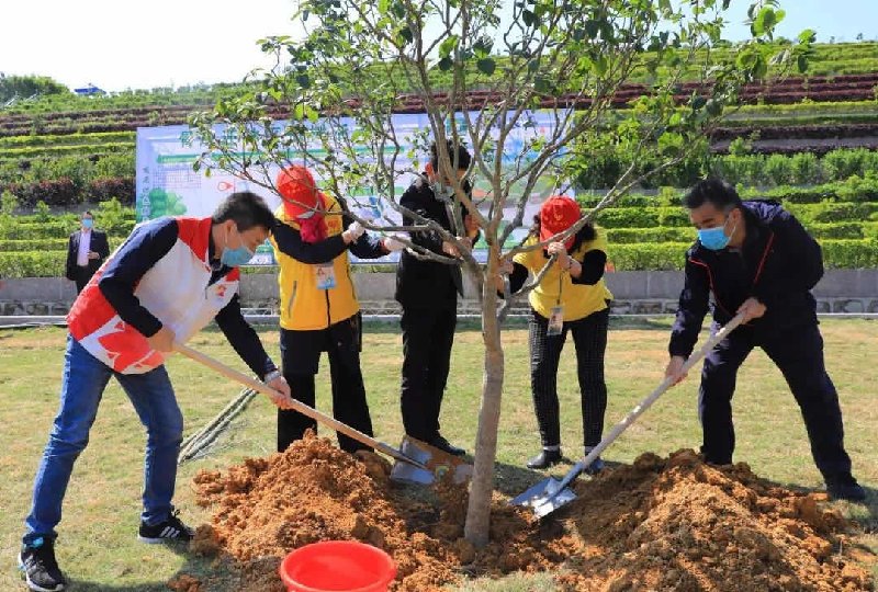  『发放节地』广东：节地生态安葬奖补政策实现全覆盖