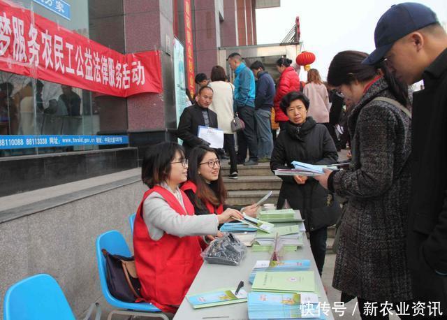 未来5年，农民可选择这4个行业，只要抓住机遇，你也可以发家致富