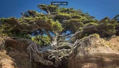 20张不可思议的照片，证明大自然无所不能！