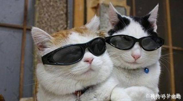 一笑表妹每次出差就是十个月,她也没有例假,老