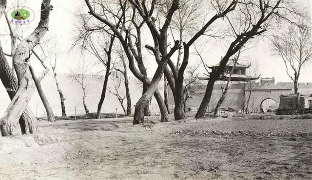 看看100年前的新疆什么样?