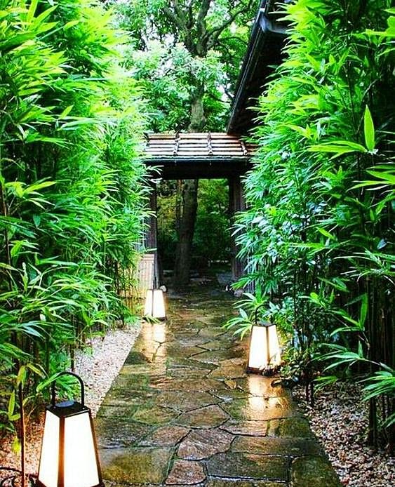 庭院竹子50张图告诉你，花园里种竹子有多高大上，气质瞬间提升
