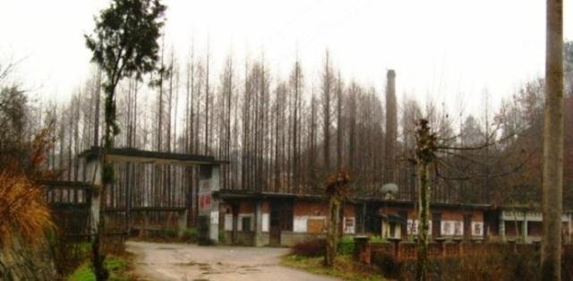 秦岭巴山之间这家兵工厂，建筑破败，一片废墟，成了牛羊的乐园