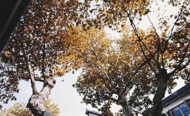 苏州就是江苏么