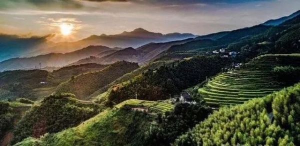 秋收崇义｜金秋奇观 上堡梯田